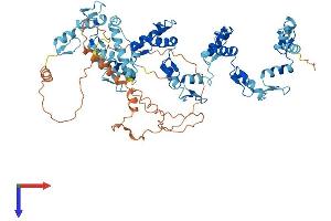 ZNF567 Protein (AA 1-647) (His tag)