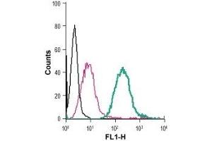 Cell surface detection of Sortilin in live intact mouse J774 macrophage cells: (black line) Cells. (Sortilin 1 Antikörper  (Extracellular) (FITC))