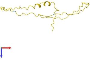 PTMA Protein (AA 1-111) (His tag)