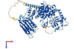 POMGNT1 Protein (AA 1-660) (His tag)