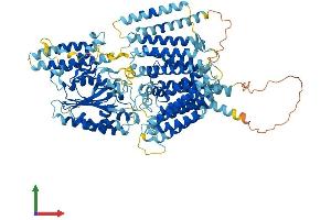 Protein Structure (PS) image for Phosphatidylinositol Glycan Anchor Biosynthesis, Class G (PIGG) (AA 1-983) protein (His tag) (ABIN7555001)