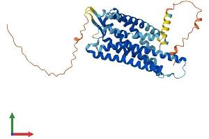 Protein Structure (PS) image for Prokineticin Receptor 2 (PROKR2) (AA 1-384) protein (His tag) (ABIN7550781)