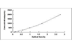 Typical standard curve (ELANE ELISA Kit)