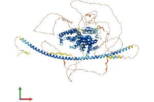 AlphaFold protein structure predicition of Human Recombinant DAB2IP Protein, UniprotID Q5VWQ8