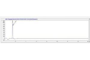Image no. 1 for Calcitonin-Related Polypeptide alpha (CALCA) peptide (Ovalbumin) (ABIN5666114) (Calcitonin-Related Polypeptide alpha (CALCA) peptide (Ovalbumin))