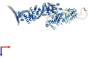 UBE3B Protein (AA 1-1068) (His tag)