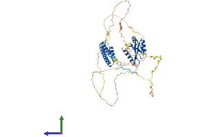 Protein Structure (PS) image for Cleavage and Polyadenylation Specific Factor 7, 59kDa (CPSF7) (AA 1-471) protein (His tag) (ABIN7546694)