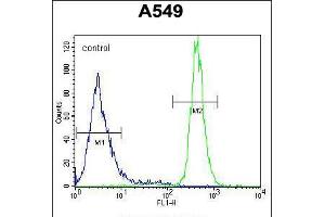 Flow cytometric analysis of A549 cells (right histogram) compared to a negative control cell (left histogram). (WFDC12 Antikörper  (C-Term))