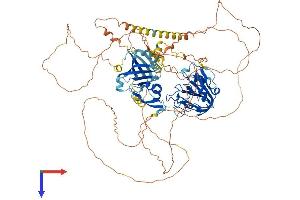 OXR1 Protein (AA 1-874) (His tag)