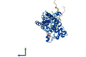 Protein Structure (PS) image for Fatty Acid 2-Hydroxylase (FA2H) (AA 1-372) protein (His tag) (ABIN7547552)