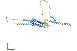 AlphaFold protein structure predicition of Human Recombinant STX5 Protein, UniprotID Q13190 (Syntaxin 5 Protein (STX5) (AA 1-355) (His tag))