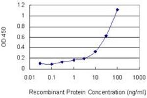 Detection limit for recombinant GST tagged DCTN1 is 0. (Dynactin 1 Antikörper  (AA 1-198))