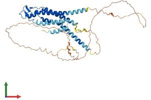 Protein Structure (PS) image for Gap Junction Protein, alpha 3, 46kDa (GJA3) (AA 1-417) protein (His tag) (ABIN7557839)