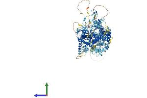 Protein Structure (PS) image for Ring Finger Protein 31 (RNF31) (AA 1-1072) protein (His tag) (ABIN7555248)