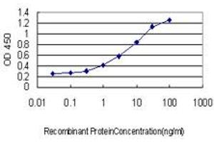 Detection limit for recombinant GST tagged FOXO1A is approximately 0. (FOXO1 Antikörper  (AA 556-655))