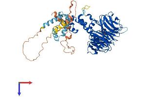 BTRC Protein (AA 1-605) (His tag)