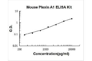 Plexin A1 (PLXNA1) ELISA Kit