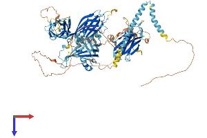 ESYT3 Protein (AA 1-886) (His tag)