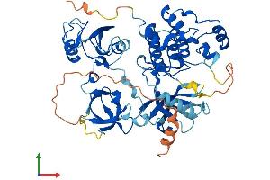 Protein Structure (PS) image for Fyn-Related Kinase (FRK) (AA 1-505) protein (His tag) (ABIN7547735)