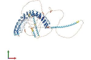 Protein Structure (PS) image for Inversin (INVS) (AA 1-1065) protein (His tag) (ABIN7554192)