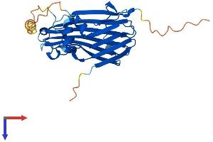 TIPRL Protein (AA 1-272) (His tag)