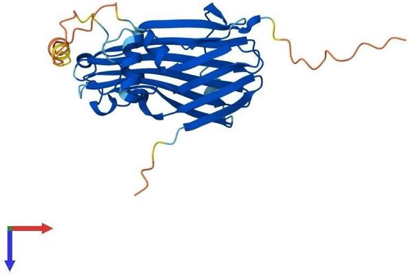 TIPRL Protein (AA 1-272) (His tag)