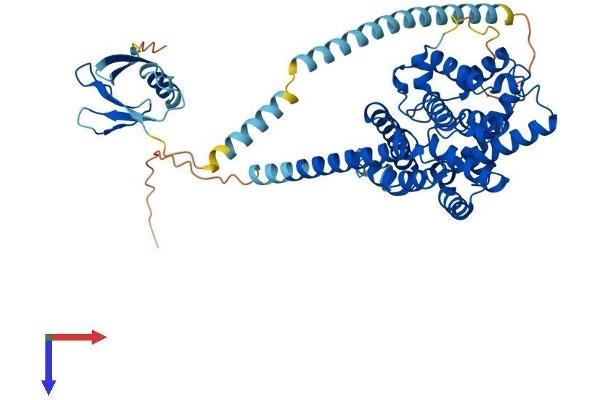 PDE9A Protein (AA 1-534) (His tag)