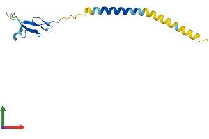 Protein Structure (PS) image for Neuregulin 4 (NRG4) (AA 1-115) protein (His tag) (ABIN7556253)