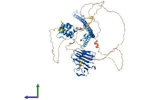 Protein Structure (PS) image for Mediterranean Fever (MEFV) (AA 1-781) protein (His tag) (ABIN7554519)