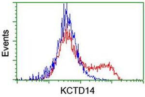 Flow Cytometry (FACS) image for anti-Potassium Channel Tetramerisation Domain Containing 14 (KCTD14) antibody (ABIN1499009) (KCTD14 Antikörper)