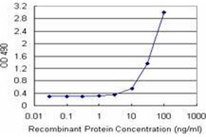 Sandwich ELISA detection sensitivity ranging from 3 ng/mL to 100 ng/mL. (NOP16 (Human) Matched Antibody Pair)