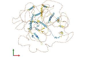 AlphaFold protein structure predicition of Mouse Recombinant Clspn Protein, UniprotID Q80YR7
