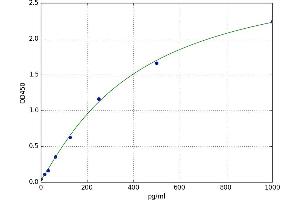 Glutamate-Ammonia Ligase (GLUL) ELISA Kit