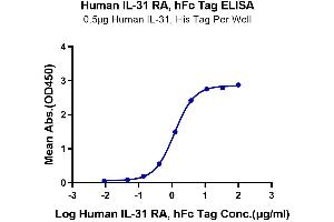 Immobilized Human IL-31, His Tag at 5 μg/mL (100 μL/Well) on the plate. (IL31RA Protein (AA 20-519) (Fc Tag))