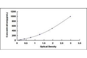 Typical standard curve (FAS ELISA Kit)