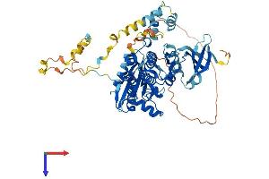 PRKAA2 Protein (AA 1-552) (His tag)