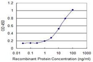 Detection limit for recombinant GST tagged DNAJB4 is 0.