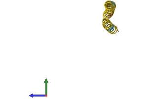 AlphaFold protein structure predicition of Human Recombinant FAM25G Protein, UniprotID B3EWG6