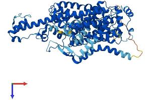 SLC6A19 Protein (AA 1-634) (His tag)