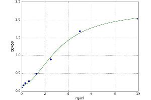 A typical standard curve