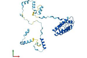 Protein Structure (PS) image for Tropomodulin 4 (TMOD4) (AA 1-345) protein (His tag) (ABIN7561674)