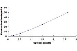 Typical standard curve (CELSR2 ELISA Kit)