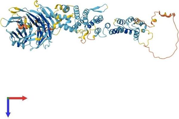 HPS6 Protein (AA 1-805) (His tag)