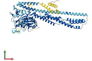 AlphaFold protein structure predicition of Human Recombinant GBP7 Protein, UniprotID Q8N8V2