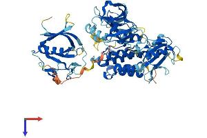NR4A3 Protein (AA 1-630) (His tag)