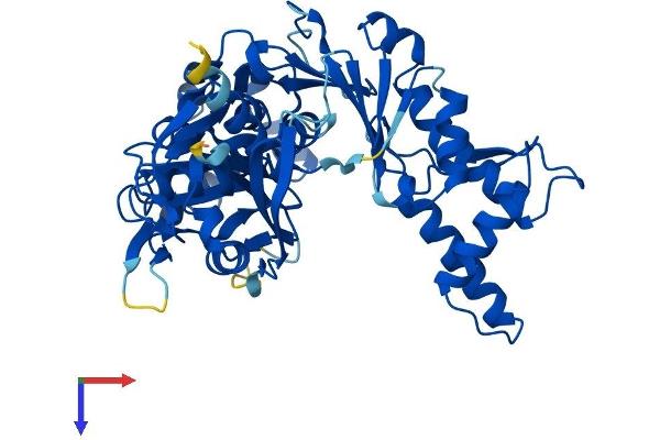 SHPK Protein (AA 1-478) (His tag)