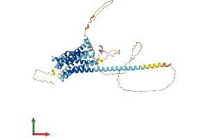 Protein Structure (PS) image for G Protein-Coupled Receptor 101 (GPR101) (AA 1-508) protein (His tag) (ABIN7548150)
