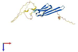 HSPB8 Protein (AA 1-196) (His tag)
