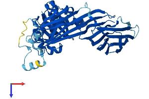 AP3M2 Protein (AA 1-418) (His tag)