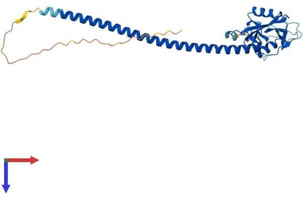 CLEC1A Protein (AA 1-280) (His tag)